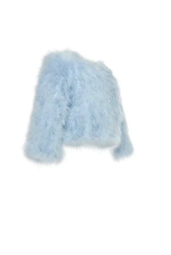 Side view of a blue ostrich jacket
