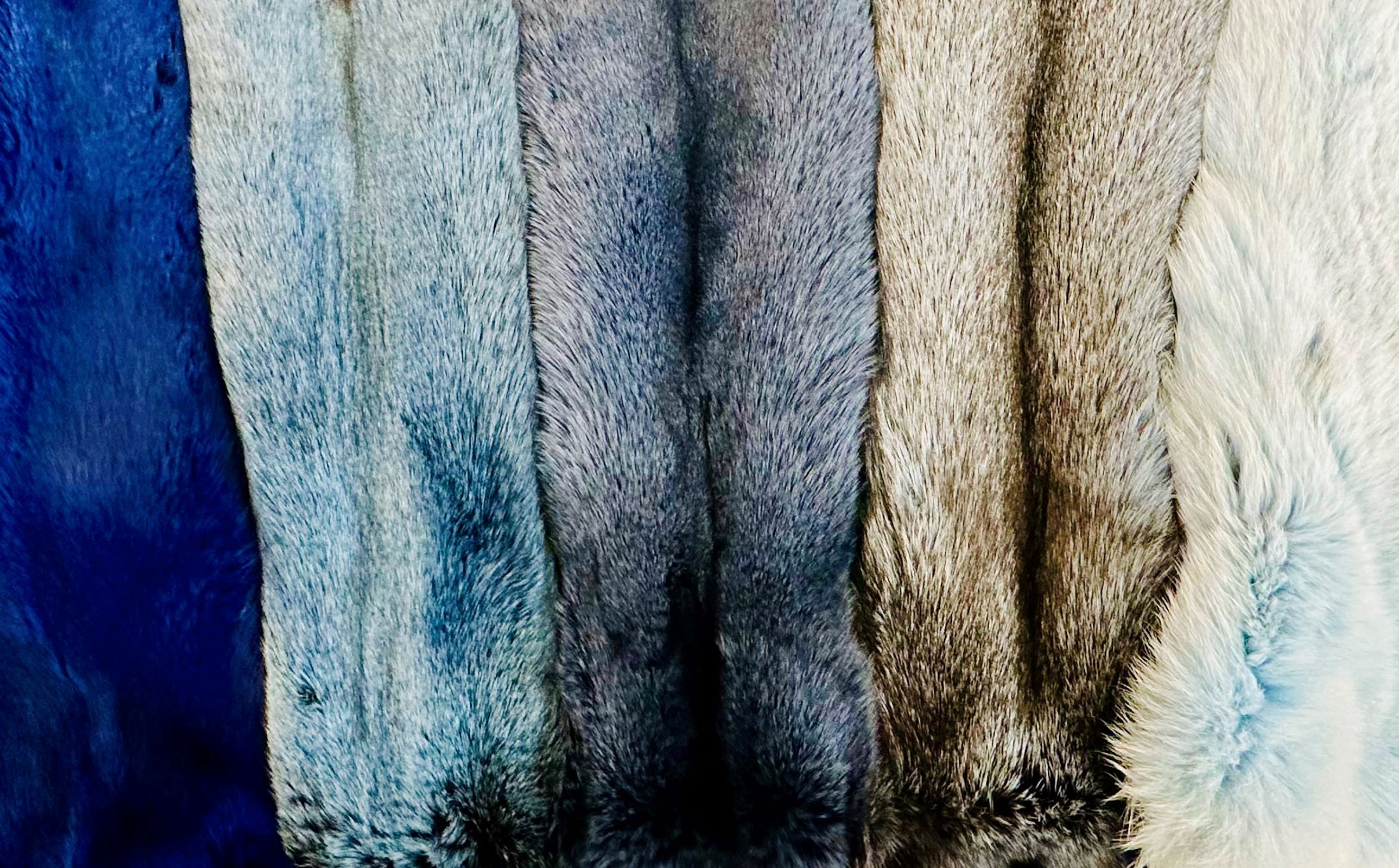 Fox pelts dyed shades of blue