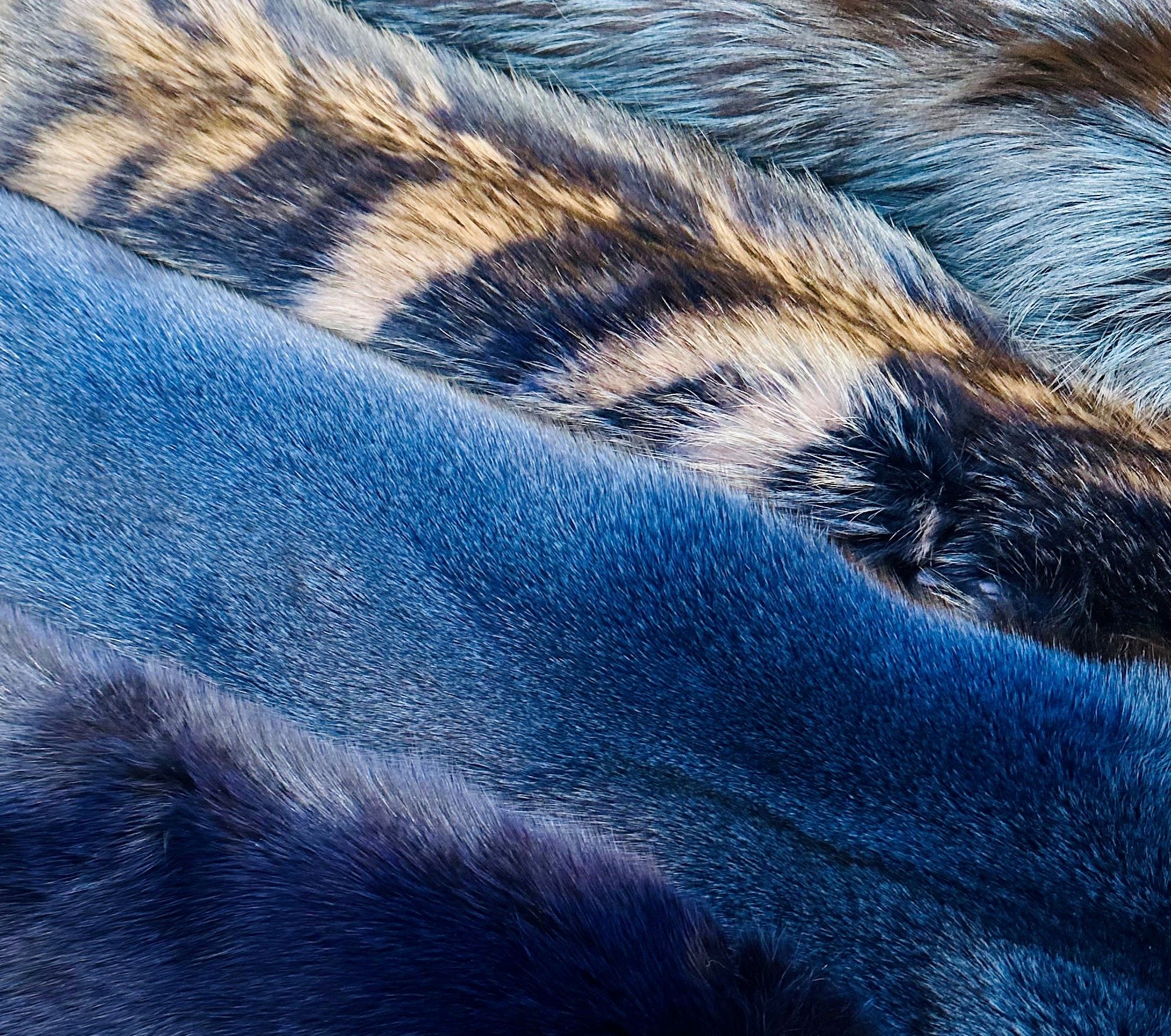 A close up on blue dyed fox furs