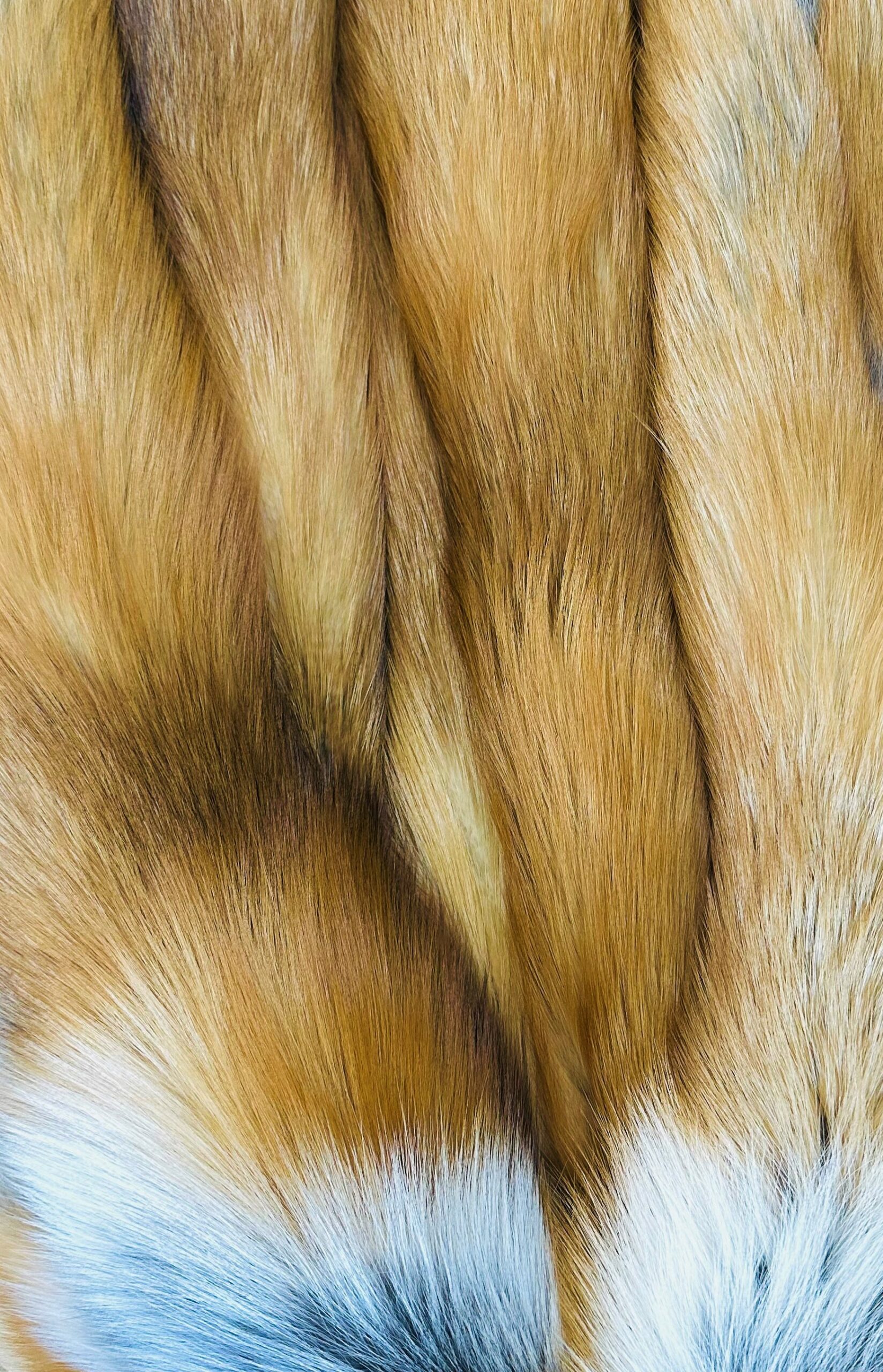 Natural red fox fur